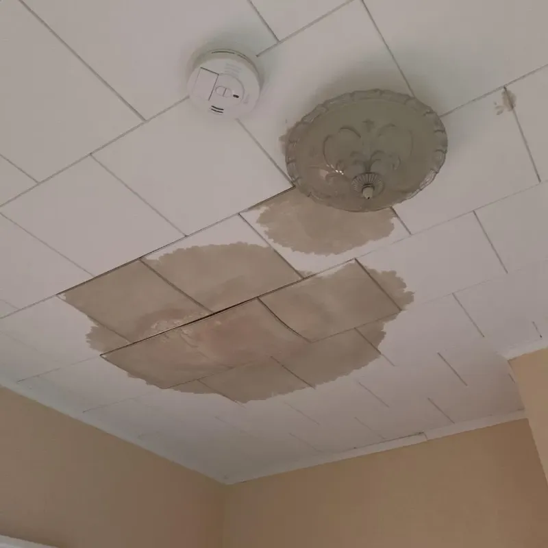 Ceiling Water Damage Repair in Baden, PA