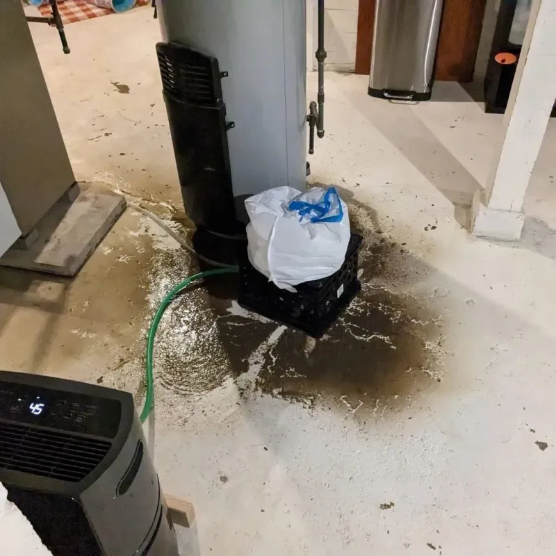Sewage Backup Cleanup Service in Baden, PA